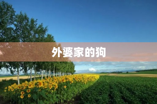 外婆家的狗 外婆家的狗