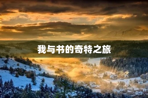 我与书的奇特之旅 我与书的奇特之旅