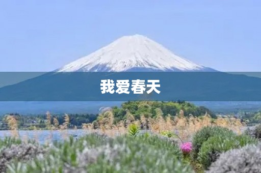 我爱春天 我爱春天