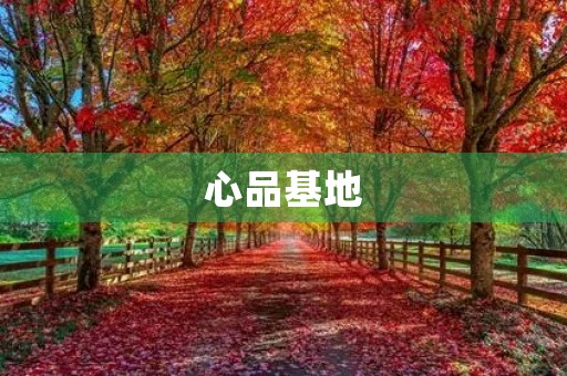 心品基地 心品基地