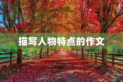 描写人物特点的作文