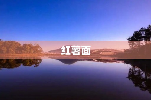 红薯面 红薯面