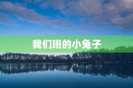 我们班的小兔子