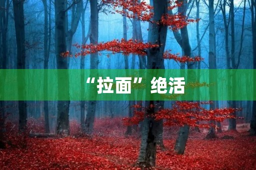 “拉面”绝活 “拉面”绝活