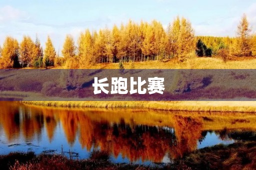 长跑比赛 长跑比赛