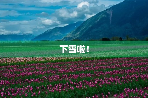 下雪啦! 下雪啦!