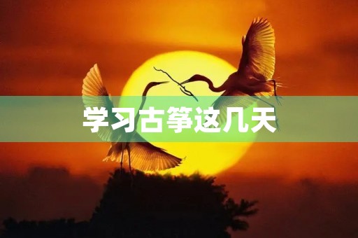 学习古筝这几天 学习古筝这几天