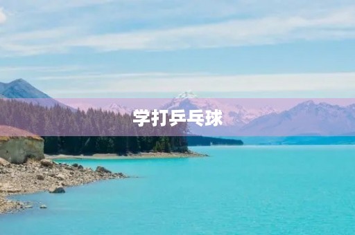 学打乒乓球 学打乒乓球