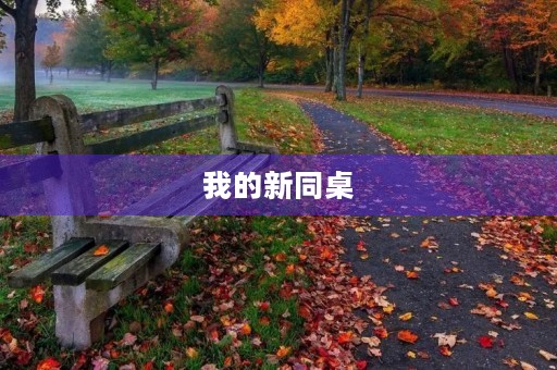 我的新同桌 我的新同桌