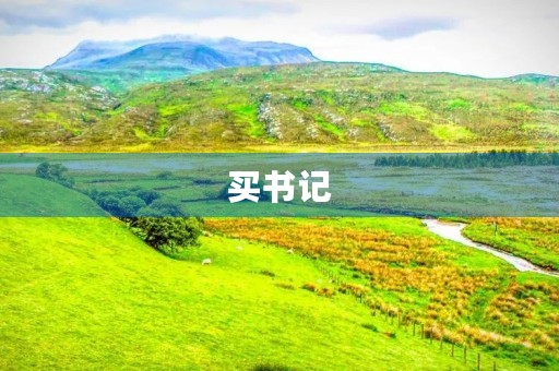 买书记 买书记