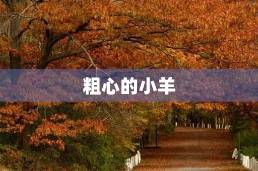 粗心的小羊 粗心的小羊