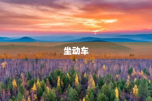 坐动车 坐动车