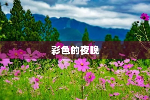 彩色的夜晚 彩色的夜晚