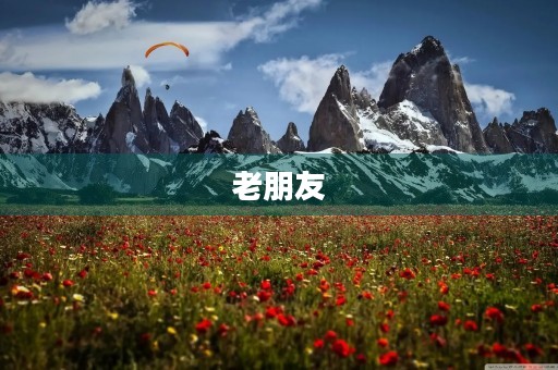 老朋友