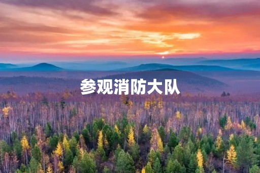 参观消防大队 参观消防大队