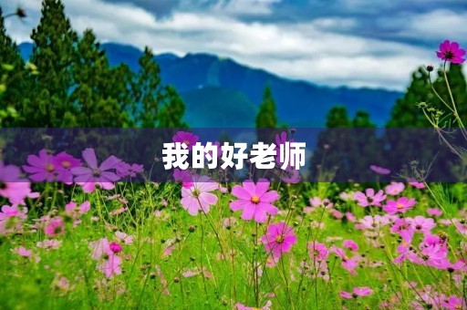 我的好老师 我的好老师