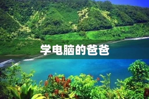 学电脑的爸爸 学电脑的爸爸