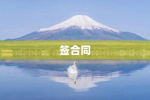 签合同 签合同