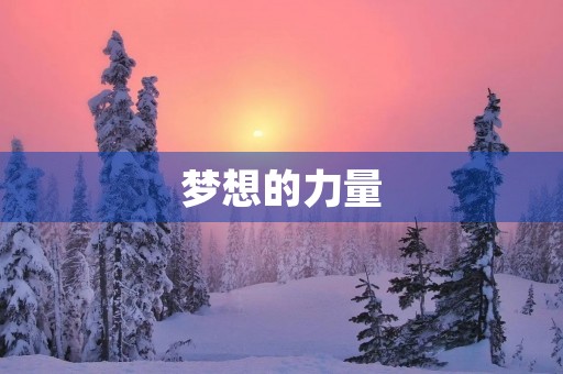 梦想的力量 梦想的力量