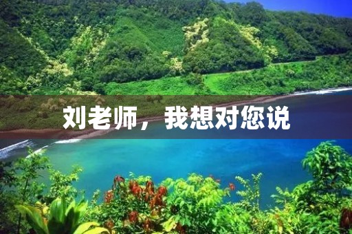 刘老师，我想对您说