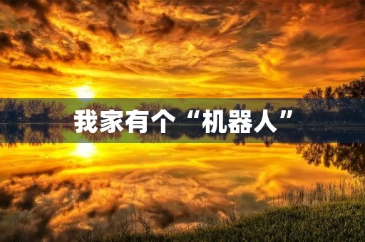 我家有个“机器人”