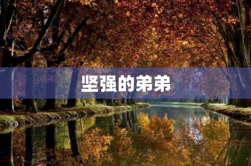 坚强的弟弟 坚强的弟弟