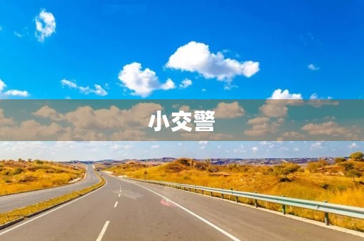 小交警 小交警