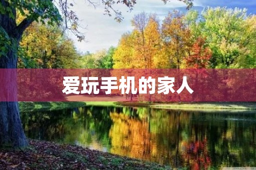 爱玩手机的家人 爱玩手机的家人