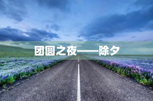 团圆之夜——除夕