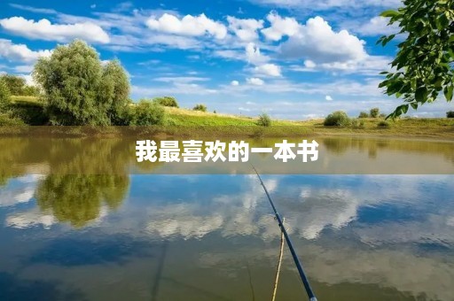 我最喜欢的一本书
