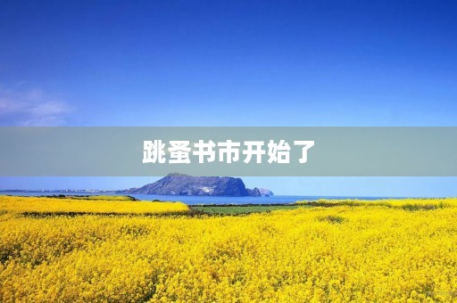 跳蚤书市开始了 跳蚤书市开始了