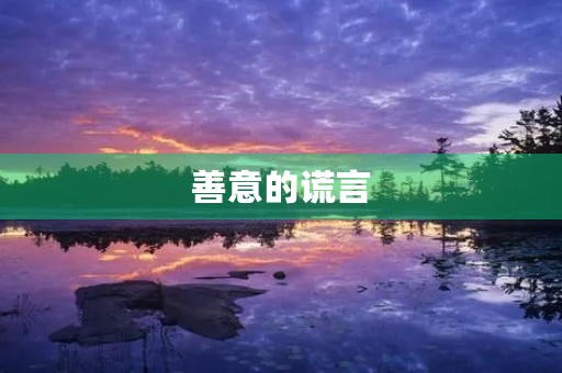 善意的谎言 善意的谎言