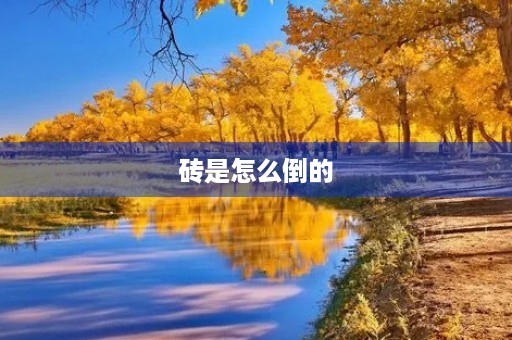 砖是怎么倒的 砖是怎么倒的