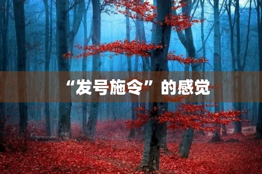 “发号施令”的感觉 “发号施令”的感觉