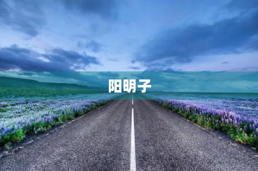 阳明子