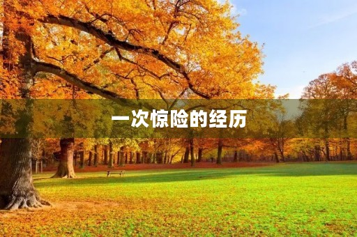 一次惊险的经历 一次惊险的经历