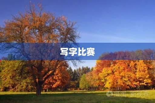 写字比赛 写字比赛