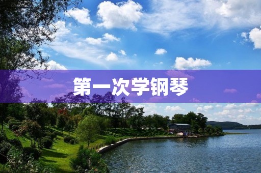 第一次学钢琴 第一次学钢琴