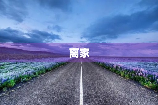 离家 离家
