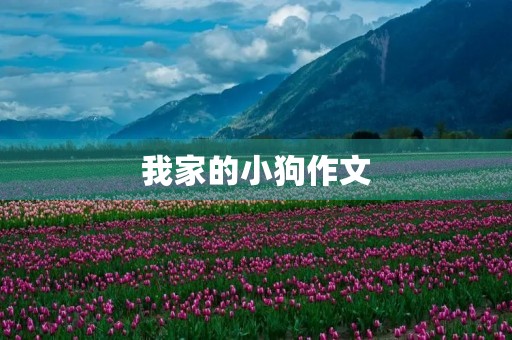 我家的小狗作文 我家的小狗作文