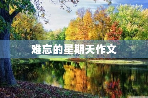 难忘的星期天作文 难忘的星期天作文