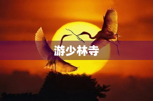 游少林寺 游少林寺