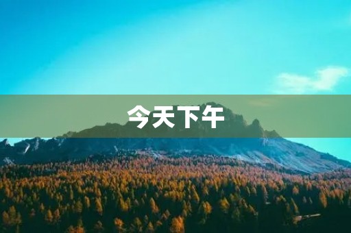 今天下午 今天下午