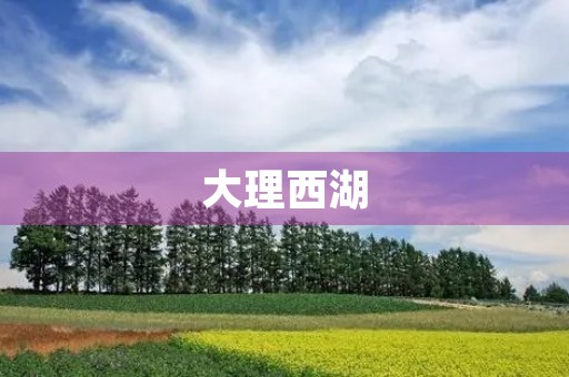 大理西湖 大理西湖