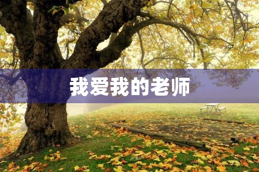 我爱我的老师 我爱我的老师