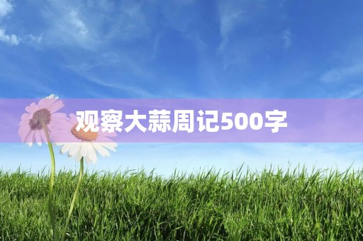 观察大蒜周记500字 观察大蒜周记500字