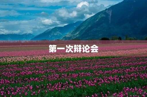 第一次辩论会 第一次辩论会
