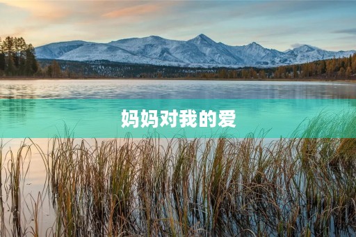 妈妈对我的爱 妈妈对我的爱