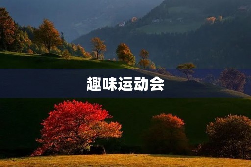 趣味运动会 趣味运动会