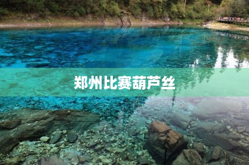 郑州比赛葫芦丝 郑州比赛葫芦丝